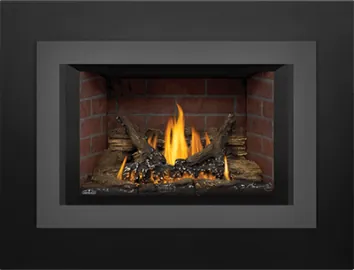 Gas Insert Napoleon Oakville 3
