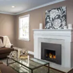 Gas Insert Napoleon Oakville 3 Glass