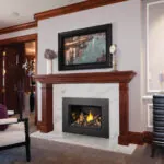 Gas Insert Napoleon Oakville X3