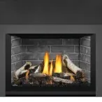 Gas Insert Napoleon Oakville X3