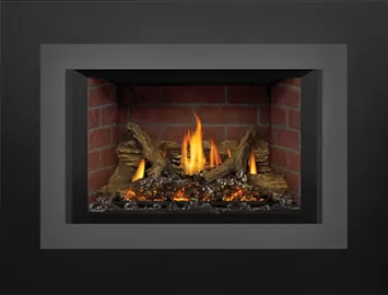 Gas Insert Napoleon Oakville X3