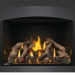 Gas Insert Napoleon Oakville X4