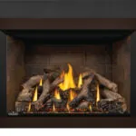 Gas Insert Napoleon Oakville X4