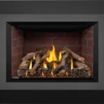 Gas Insert Napoleon Oakville X4
