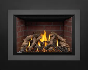 Gas Insert Napoleon Oakville X4
