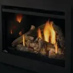 Encastrable au gaz Napoleon Rosedale 3