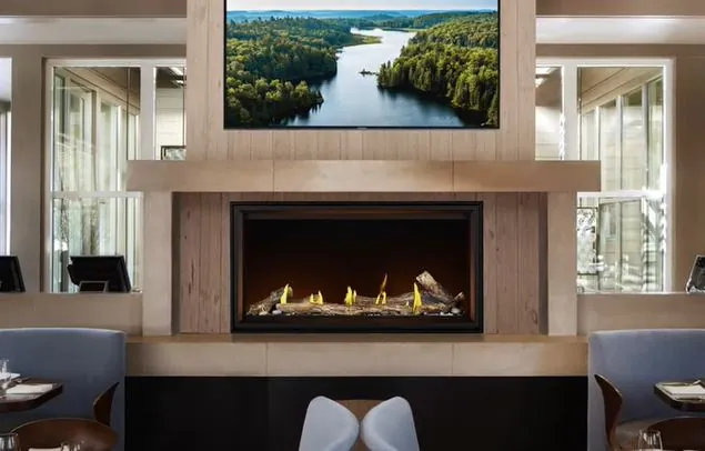 Gas Fireplace Napoleon Tall Linear Vector 50