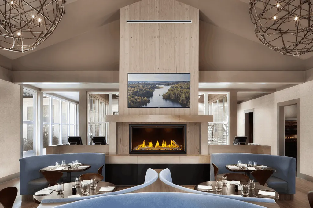 Gas Fireplace Napoleon Tall Linear Vector 50