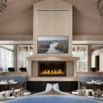 Gas Fireplace Napoleon Tall Linear Vector 50