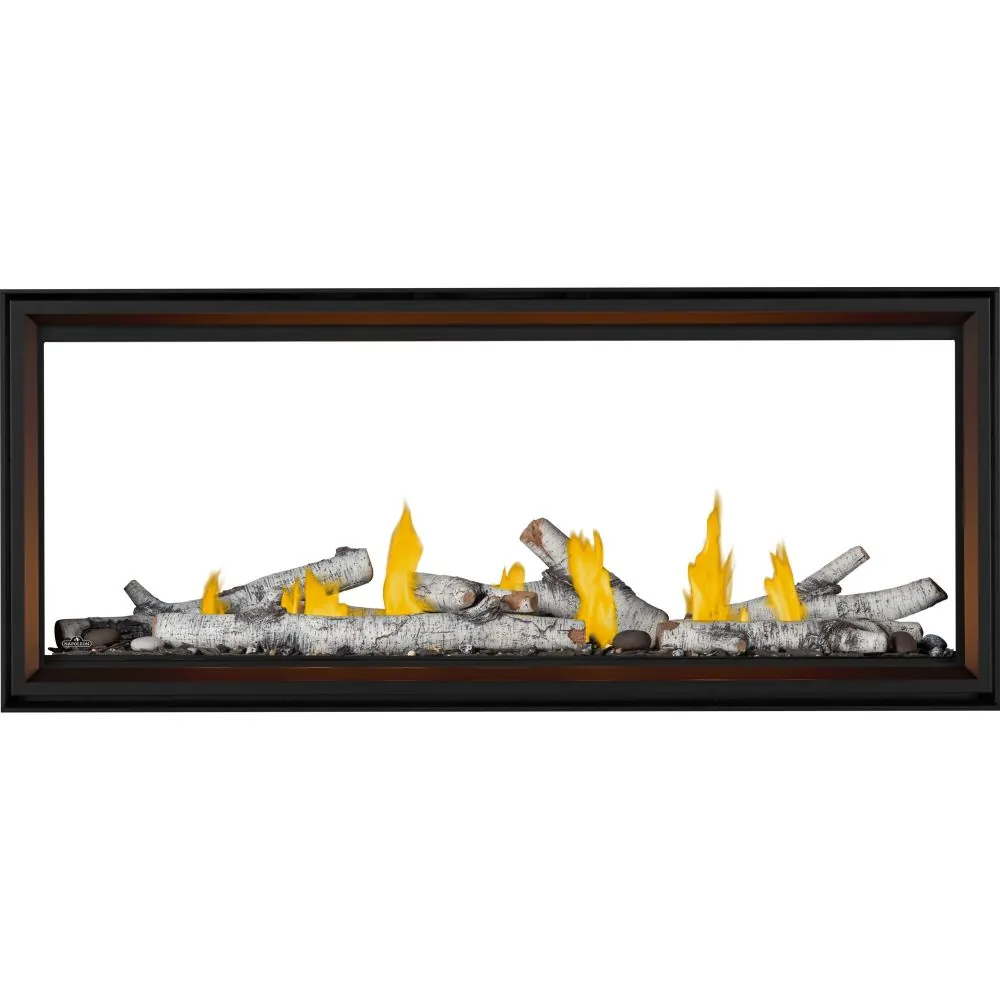 Gas Fireplace Napoleon Tall Linear Vector 62 See Through
