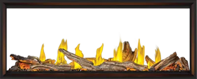 Gas Fireplace Napoleon Tall Linear Vector 62 See Through