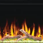 Electric Fireplace Napoleon Trivista Primis 50