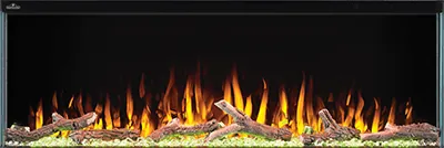 Electric Fireplace Napoleon Trivista Primis 50