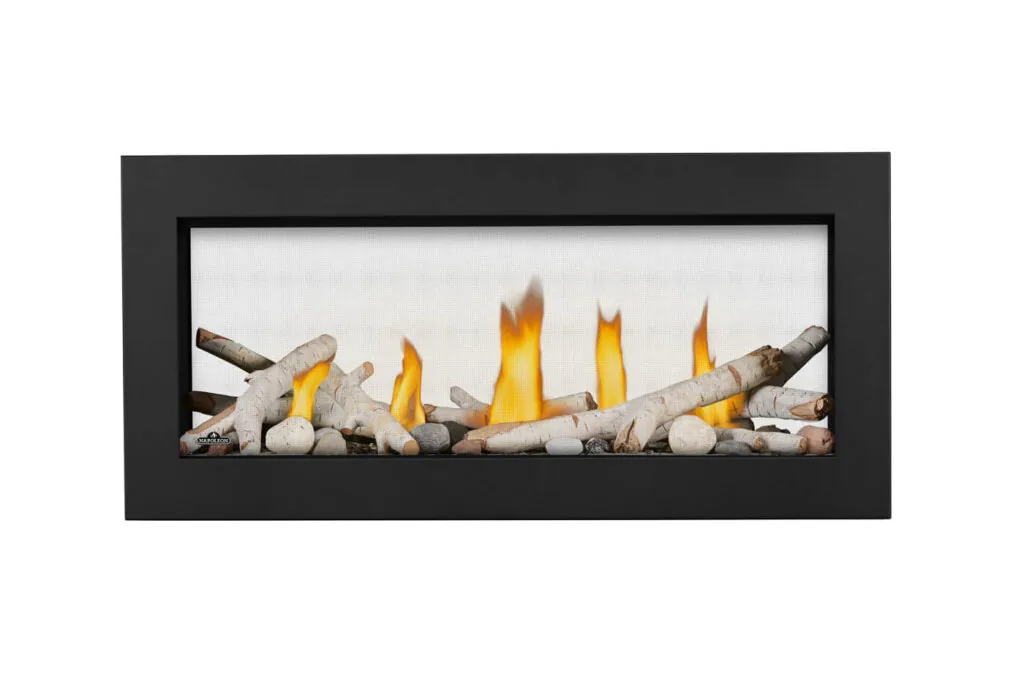 Gas Fireplace Napoleon Vector 38 See through