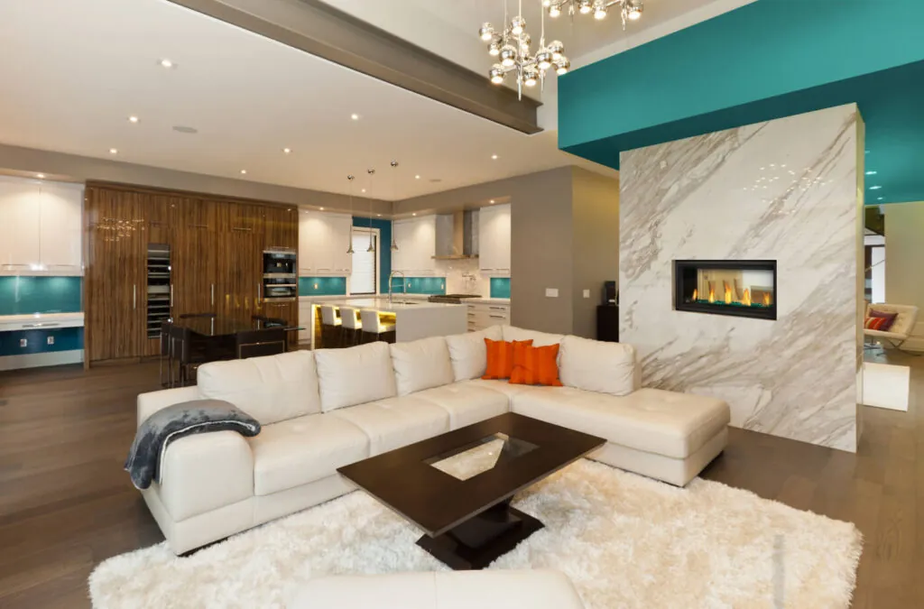 Gas Fireplace Napoleon Vector 38 See through