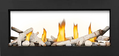 Gas Fireplace Napoleon Vector 38 See through