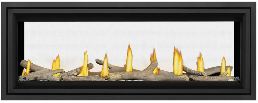Gas Fireplace Napoleon Vector 50 See through