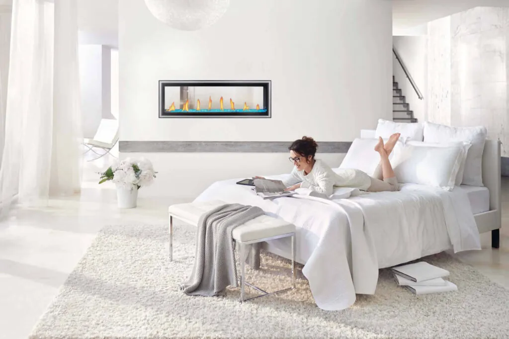 Gas Fireplace Napoleon Vector 50 See through