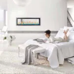 Gas Fireplace Napoleon Vector 50 See through