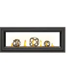 Gas Fireplace Napoleon Vector 50 See through