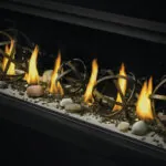 Gas Fireplace Napoleon Vector 50 See through