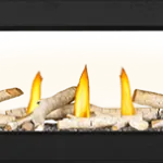 Gas Fireplace Napoleon Vector 50 See through