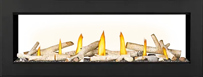 Gas Fireplace Napoleon Vector 50 See through
