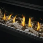 Gas Fireplace Napoleon Vector 50 See through