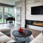 Gas Fireplace Napoleon Vector 62 See through