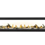 Gas Fireplace Napoleon Vector 74 See through