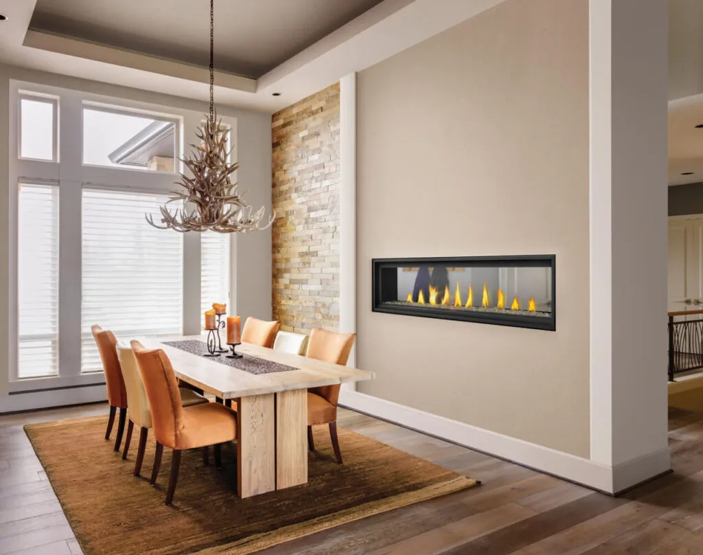 Gas Fireplace Napoleon Vector 74 See through