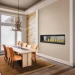 Gas Fireplace Napoleon Vector 74 See through