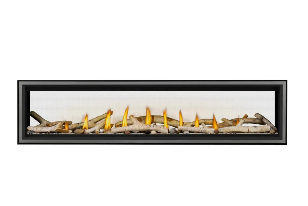 Gas Fireplace Napoleon Vector 74 See through