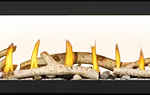 Gas Fireplace Napoleon Vector 74 See through