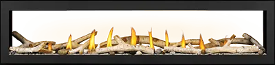 Gas Fireplace Napoleon Vector 74 See through