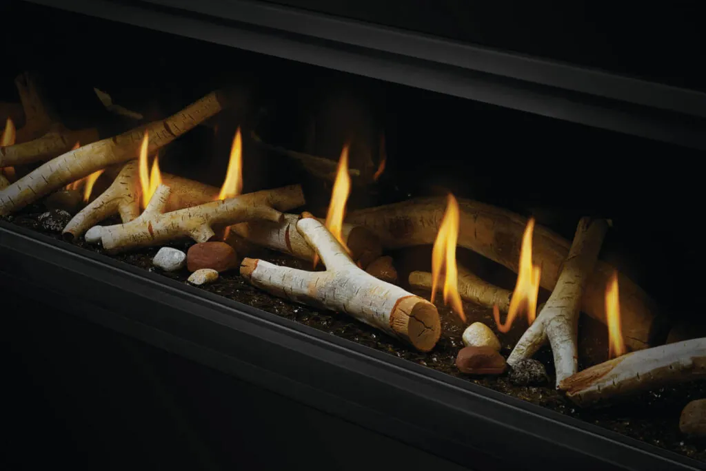 Gas Fireplace Napoleon Vector 74 See through