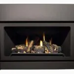 Gas Fireplace Inserts Archgard 22-DVIE22LN-1