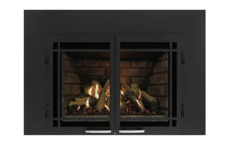 Gas Fireplace Inserts Archgard 27-DVIE22N