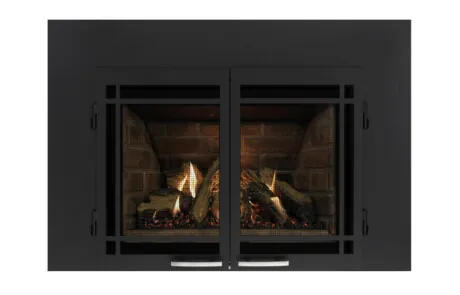 Gas Fireplace Inserts Archgard 27-DVIE22N