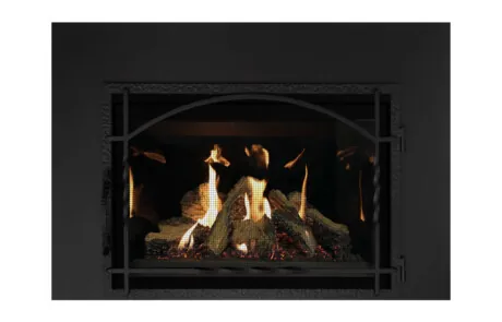 Gas Fireplace Inserts Archgard 27-DVIE22N
