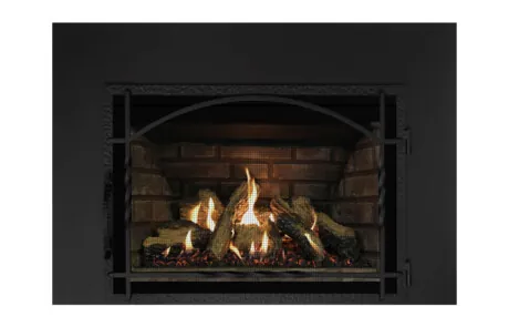 Gas Fireplace Inserts Archgard 27-DVIE22N