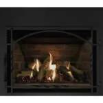 Gas Fireplace Inserts Archgard 27-DVIE22N