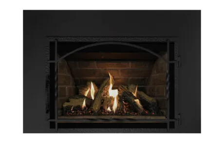Gas Fireplace Inserts Archgard 27-DVIE22N