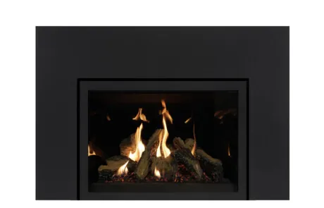 Gas Fireplace Inserts Archgard 27-DVIE22N