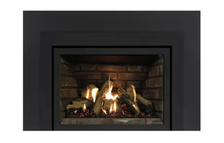 Gas Fireplace Inserts Archgard 27-DVIE22N