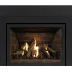 Gas Fireplace Inserts Archgard 27-DVIE22N