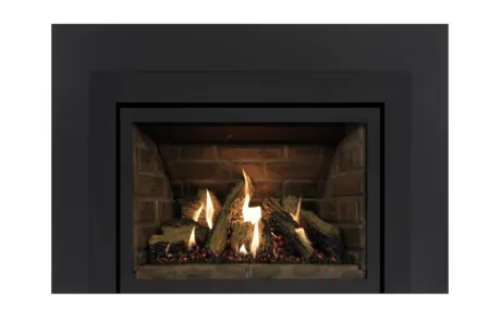 Gas Fireplace Inserts Archgard 27-DVIE22N