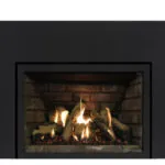 Gas Fireplace Inserts Archgard 27-DVIE22N