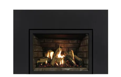 Gas Fireplace Inserts Archgard 27-DVIE22N