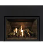 Gas Fireplace Inserts Archgard 27-DVIE22N